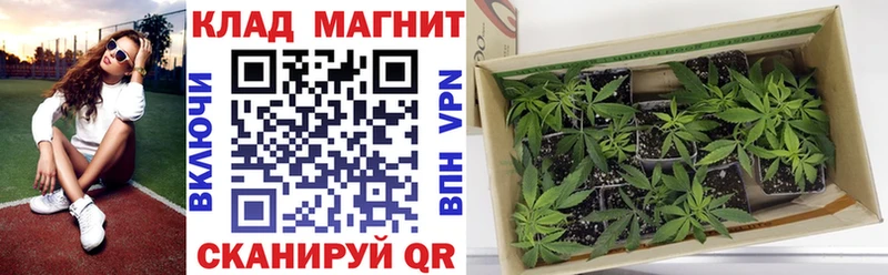 Магазин наркотиков Сухой Лог COCAIN  СК  АМФЕТАМИН  hydra ссылки  БУТИРАТ  Конопля  Гашиш 