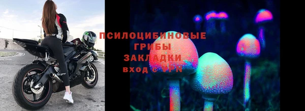 ГАЛЛЮЦИНОГЕННЫЕ ГРИБЫ Алексин