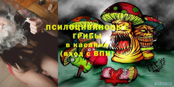 мяу мяу мука Алзамай