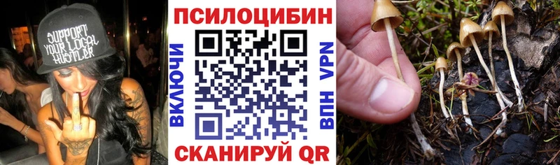 Псилоцибиновые грибы Psilocybine cubensis  как найти наркотики  Сухой Лог 