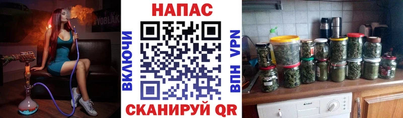 Конопля сатива  Сухой Лог 